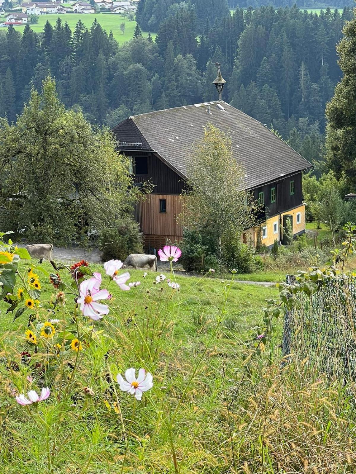Apartment Stillleben Luxus Fuer Die Seele Abtenau Exterior foto