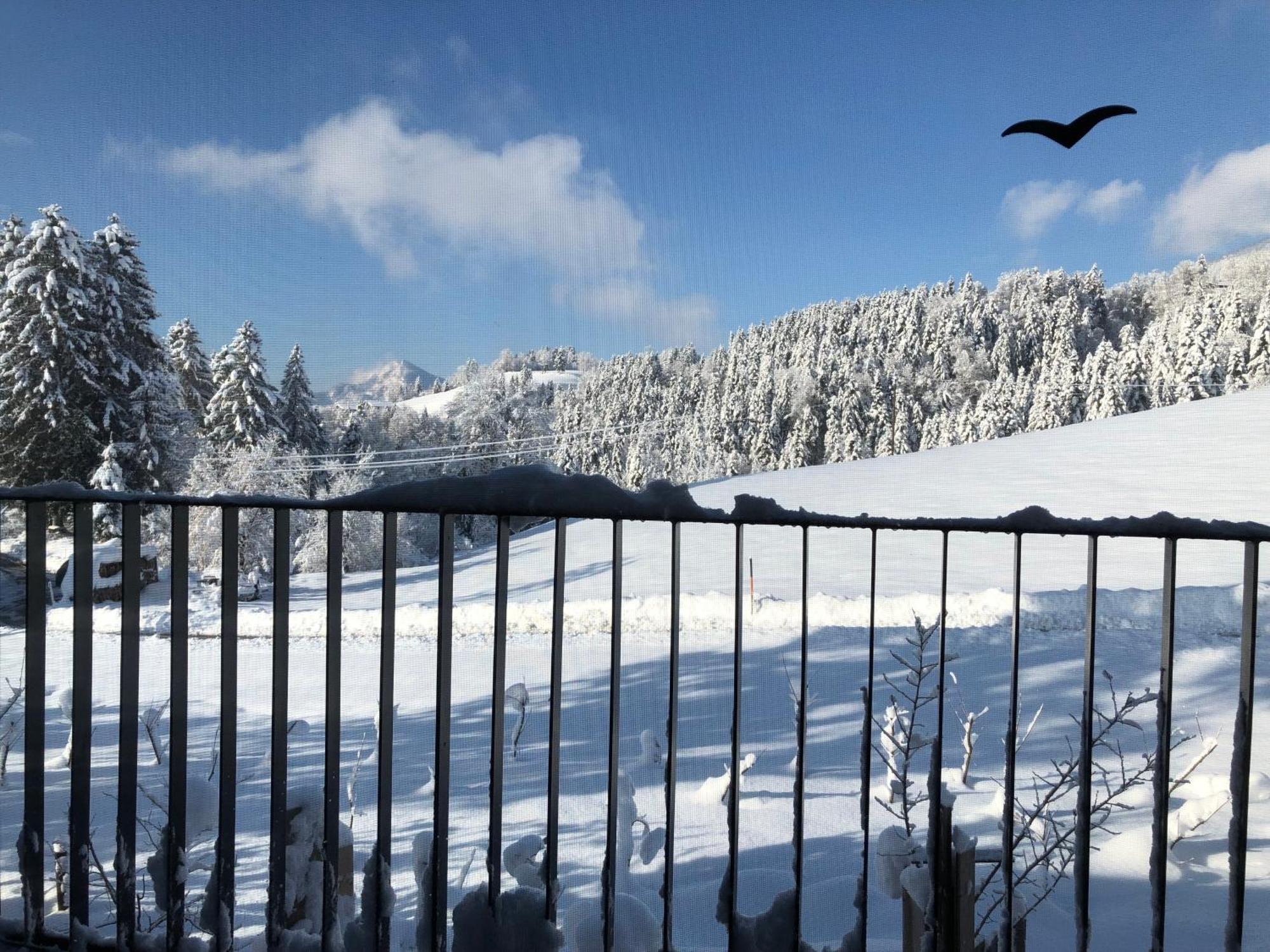 Apartment Stillleben Luxus Fuer Die Seele Abtenau Exterior foto